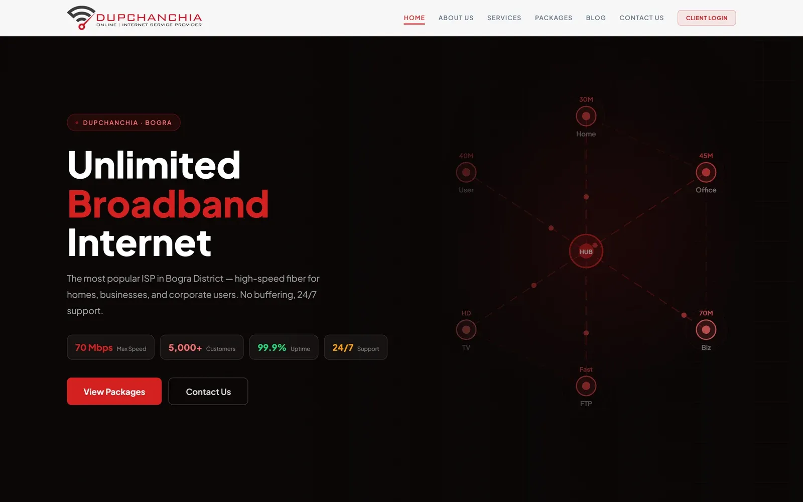 Dupchanchia Online homepage, showing the broadband hero and an animated network diagram